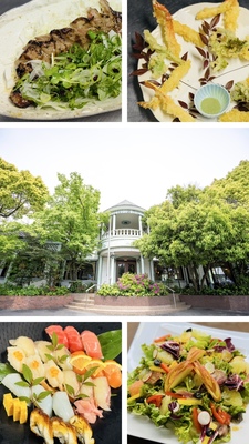 3A90BB36-FB8D-434C-B95A-6FD7B2B47AFE-COLLAGE.JPG