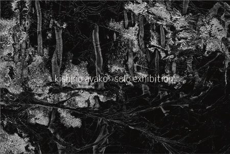 kishinoayako2.JPG